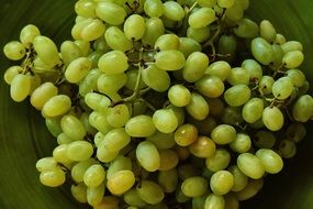 plate with green grapes