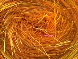 yellow twisted straws close-up