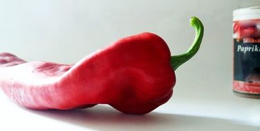 red paprika on a white background