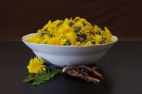 dandelions in white bowl