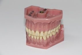 false teeth to put the bite
