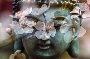 Buddha face and flowering tree