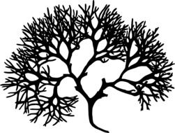 clipart of the Irish moss tree