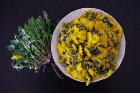 dandelions on the plate