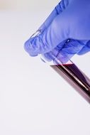 Blood Medical Attempts