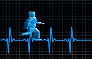 model of a healthy heart of the runner