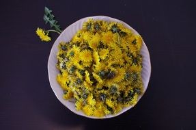 yellow dandelions in the white plate