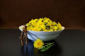 plate with dandelions and herb root