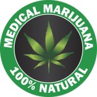 hemp leaf logo