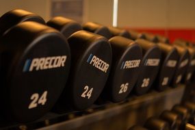 weight 24 kg for fitness