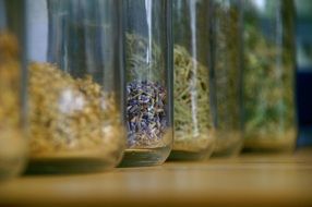 Herbs Nature Healing