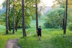 man is running in the forest in morning