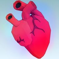 human heart on a blue background