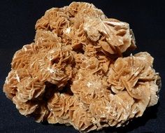 Picture of Sand Rose