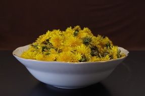 white bowl with dandelions