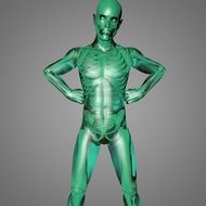 body anatomy on a green mannequin