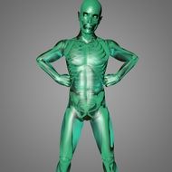 body anatomy on a green mannequin