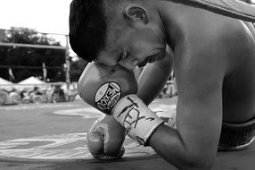tired boxer
