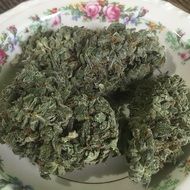 Caramel Cream Indica