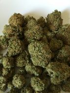 cannabis on a white plate close up