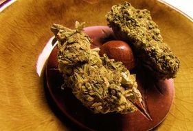 Marijuana Pot