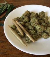 cannabis grass
