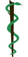 Brazilian medicine logo