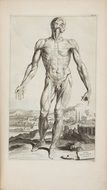 Black and white drawing of Andreas Vesalius
