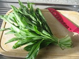 Medicinal plant named 