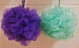 Shower Sponges