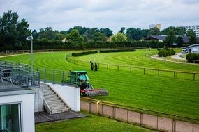Racecourse Repair Lawn