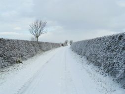 Snow Lane Road Landscape