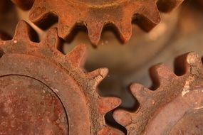 Gears Metal Stainless