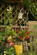 Flower pots in garden
