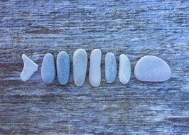 silhouette of fish folded of stones