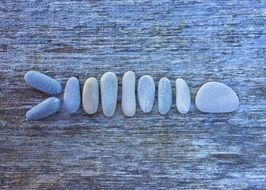 figure of fish made of pebbles