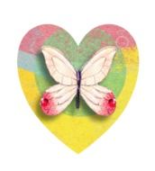 Pink butterfly on a colored heart