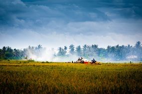 Countryside in Vietnam