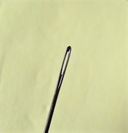 Needle eye, macro