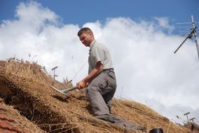 People Work