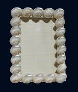 sea shells Frame
