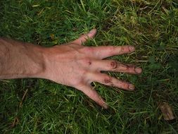 Dirty female hand on grass