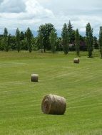 Ball Straw Landscape