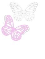 Butterfly rose and white drawing