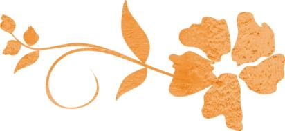 Swirl orange plant with the flowers
