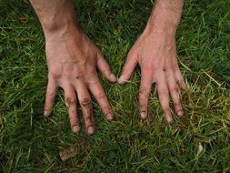 hands on green grass