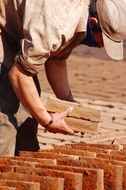 Picture of drying Handmade Bricks