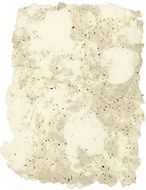 Coffee Cotton drawing