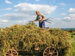 Farmer in a village