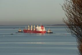 Odense Fjord Ship on a sea